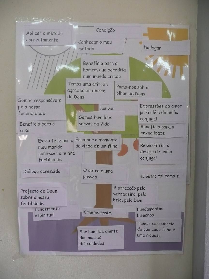 Argumentos a favor da utilização de uma planificação natural dos nascimentos 2008