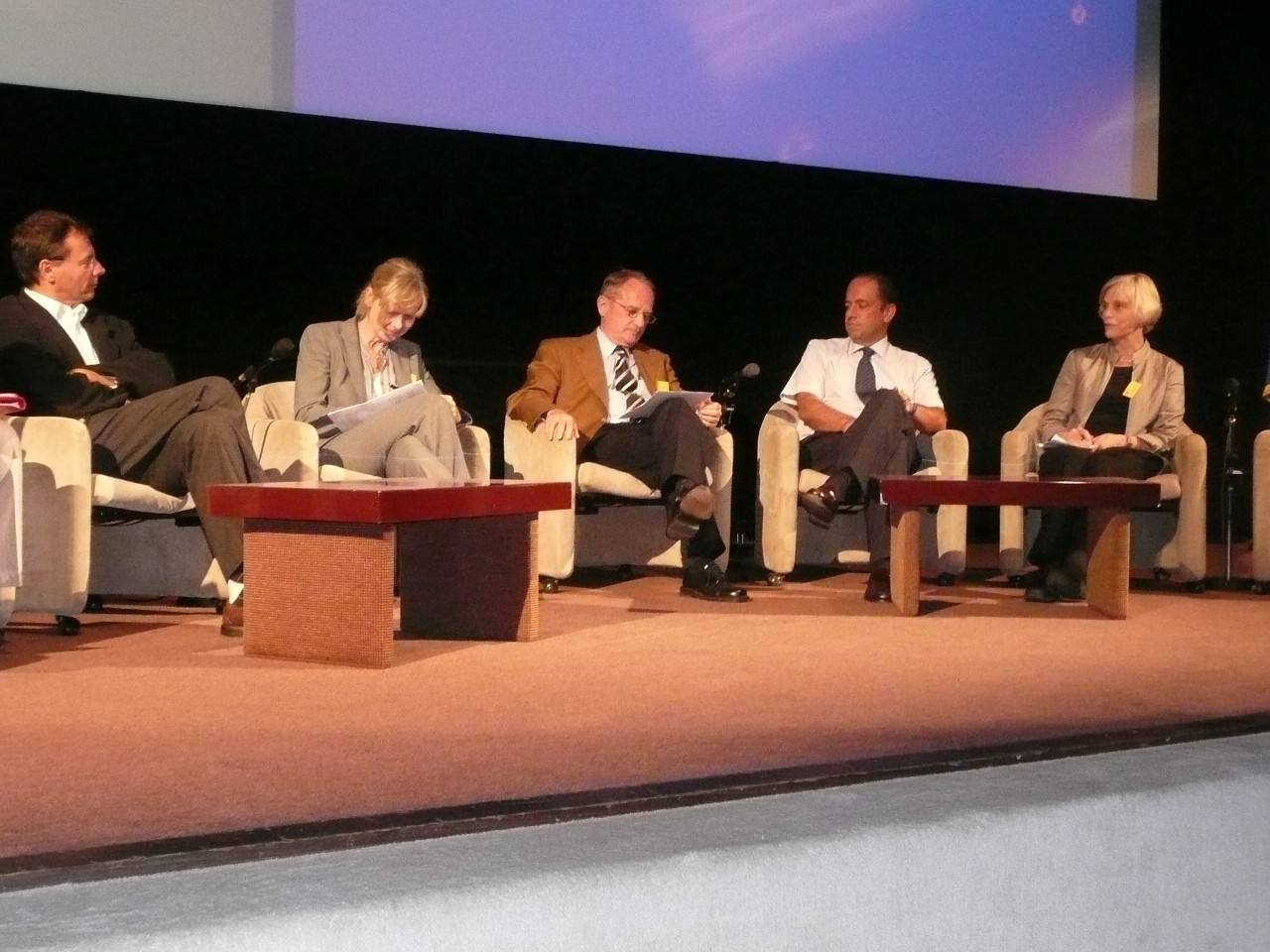 Panel session with Pr. Jacquemyn, Cecilia Pyper, Gunterfreundl, Jokin de Irala and Victoria Jennings 2008