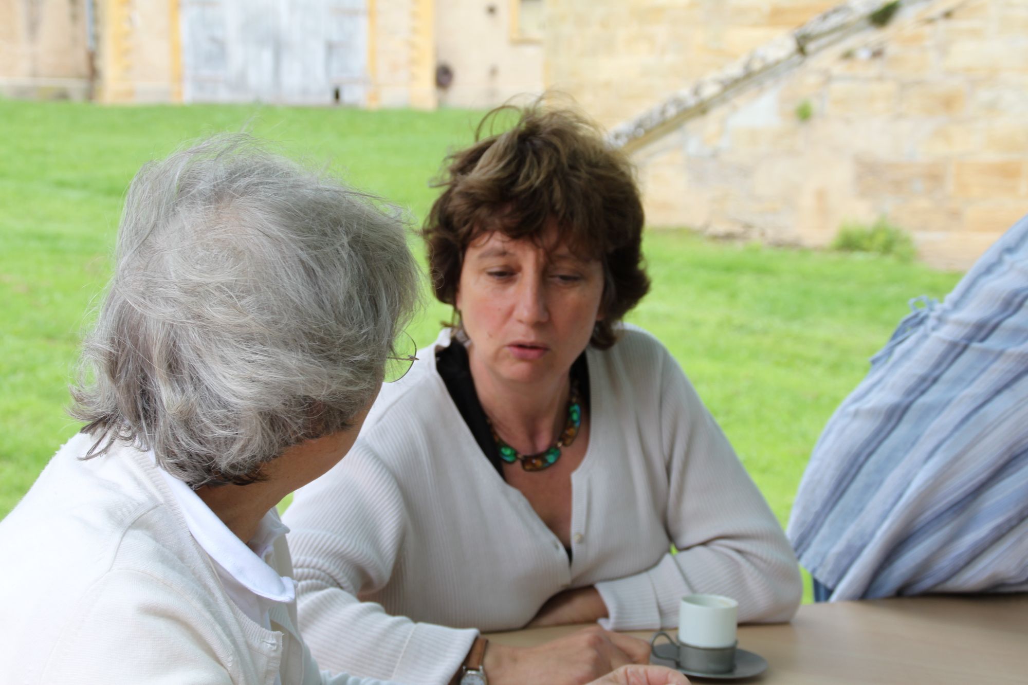 Les Cigognes à la pause 9 2011