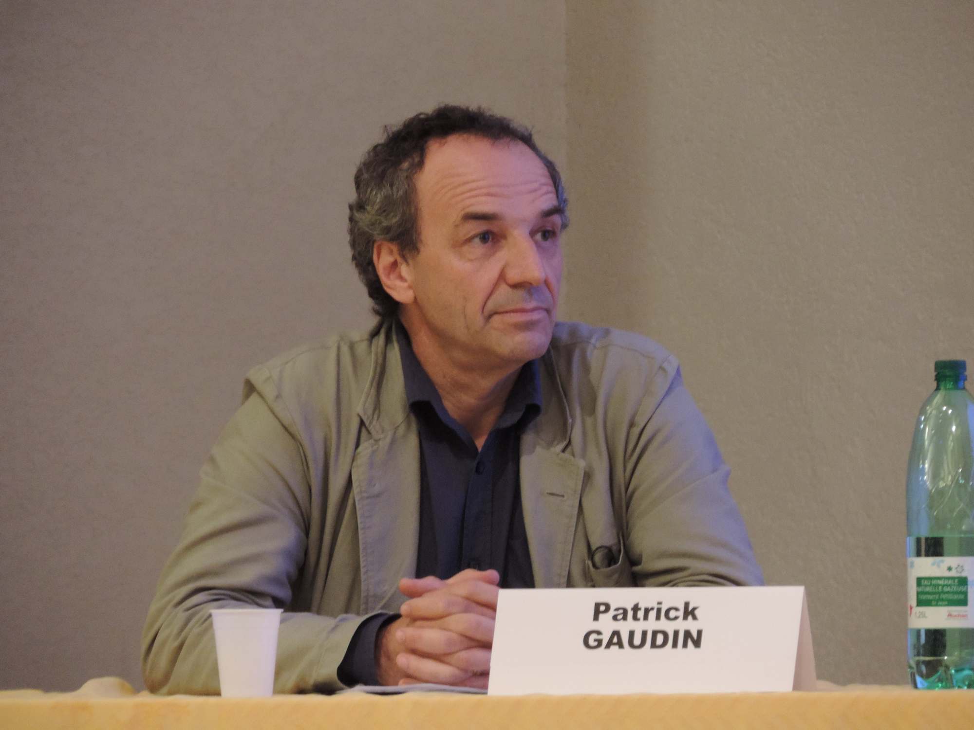 Patrick Gaudin 2013