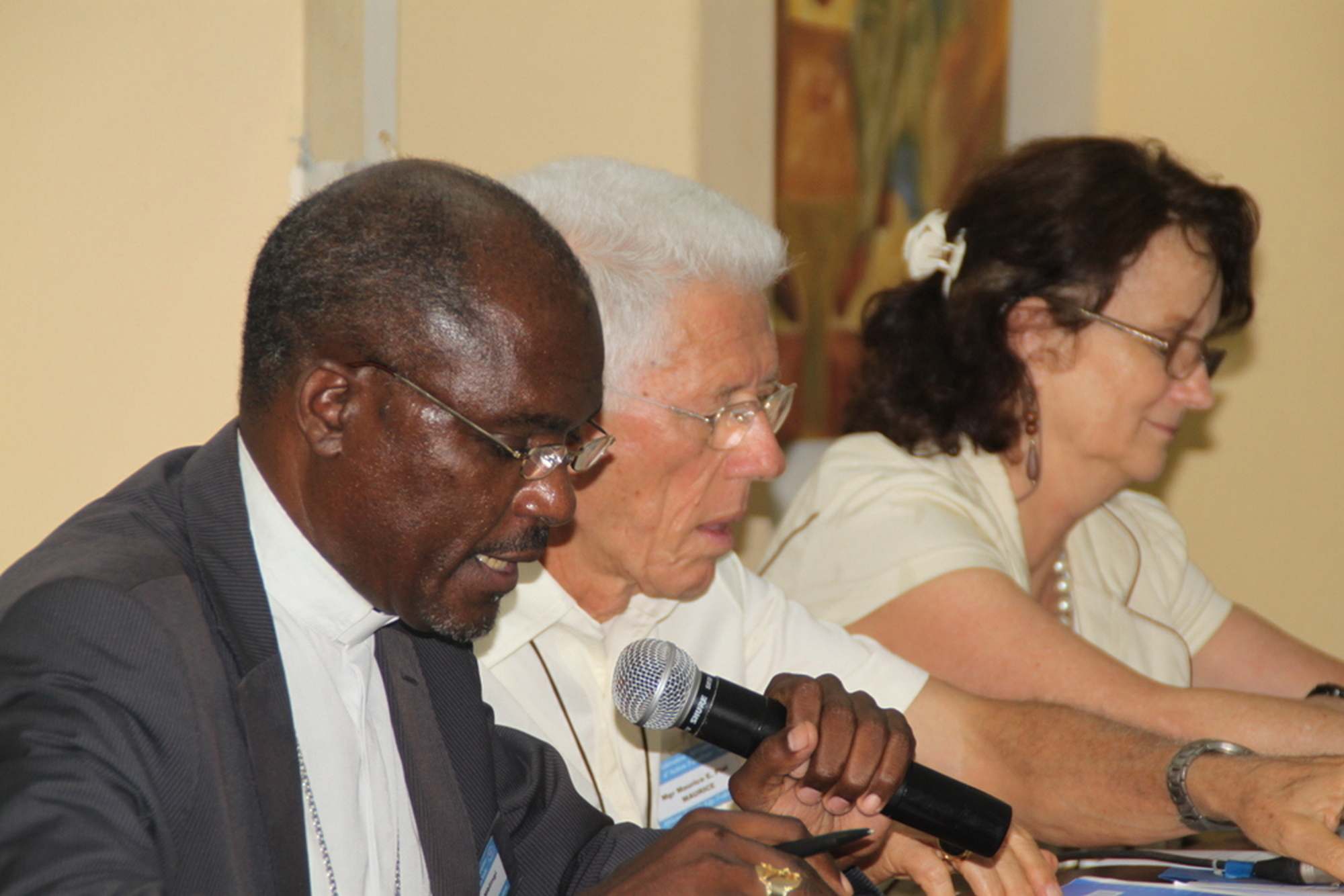 SE Mgr Gabriel Mblingi, SE Mgr Maurice Piat, Dany Sauvage 2013
