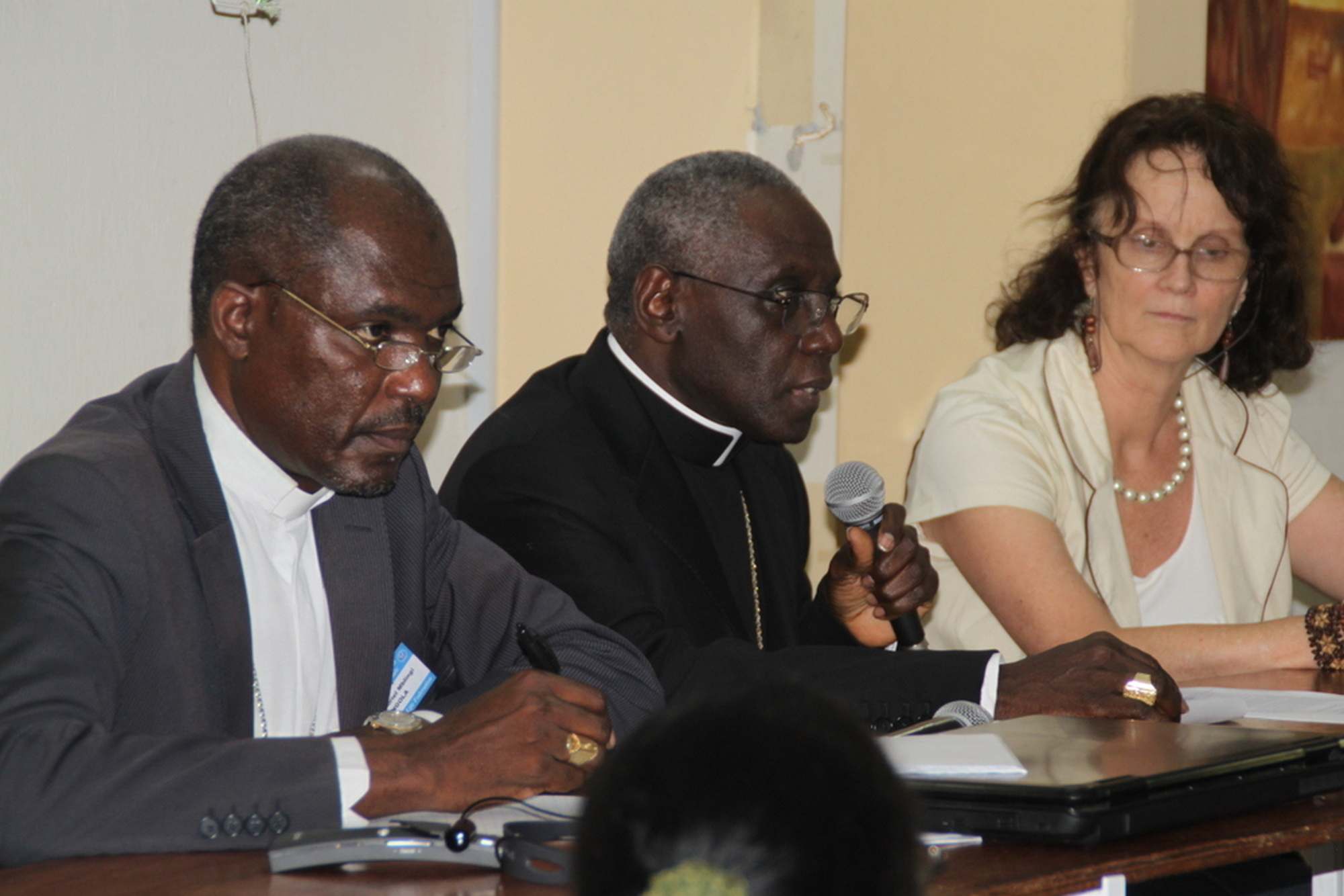 SE Mgr Gabriel Mblingi, SE Robert Cardinal Sarah, Dany Sauvage 2013