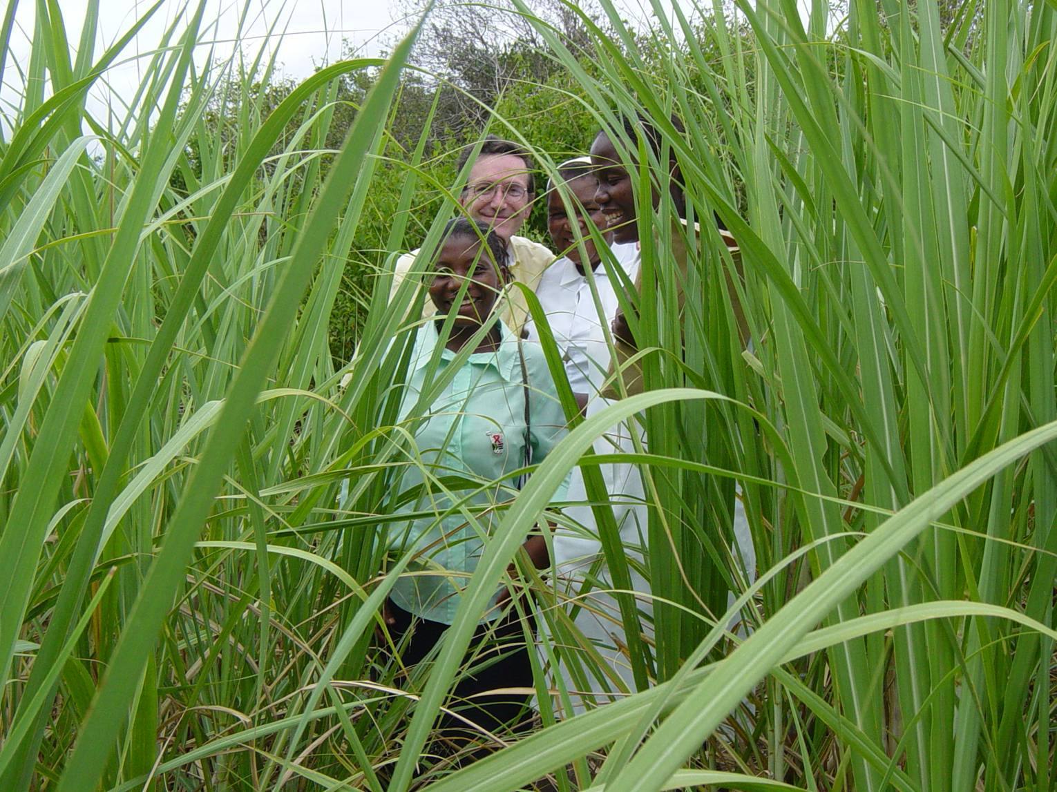 Visite technique sur le terrain 2003
